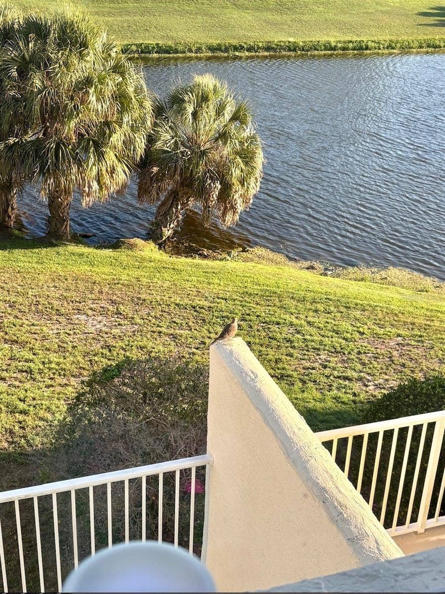 1200 COUNTRY CLUB DRIVE, #2205, Largo, FL 33771