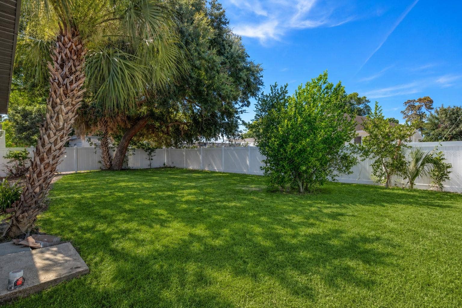 3816 W PAXTON AVENUE, Tampa, FL 33611 South Facing Back Virtually landscaped
