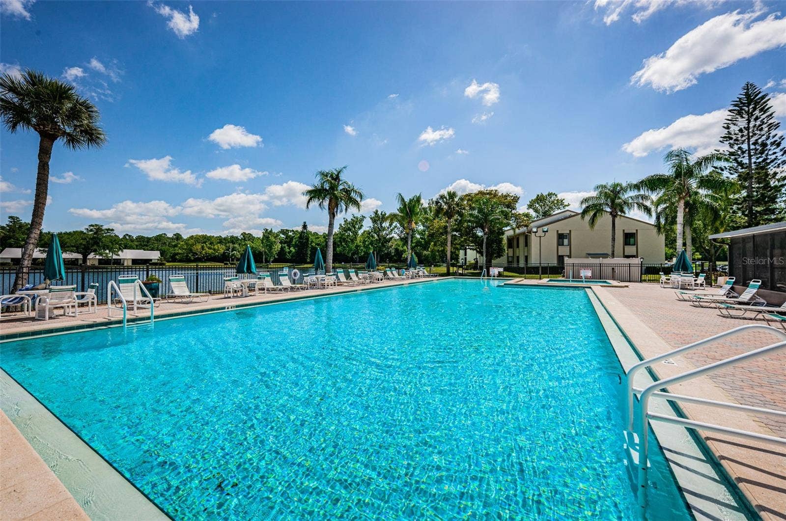 1333 SHADY PINE WAY, #F, Tarpon Springs, FL 34688 Community Pool & Spa