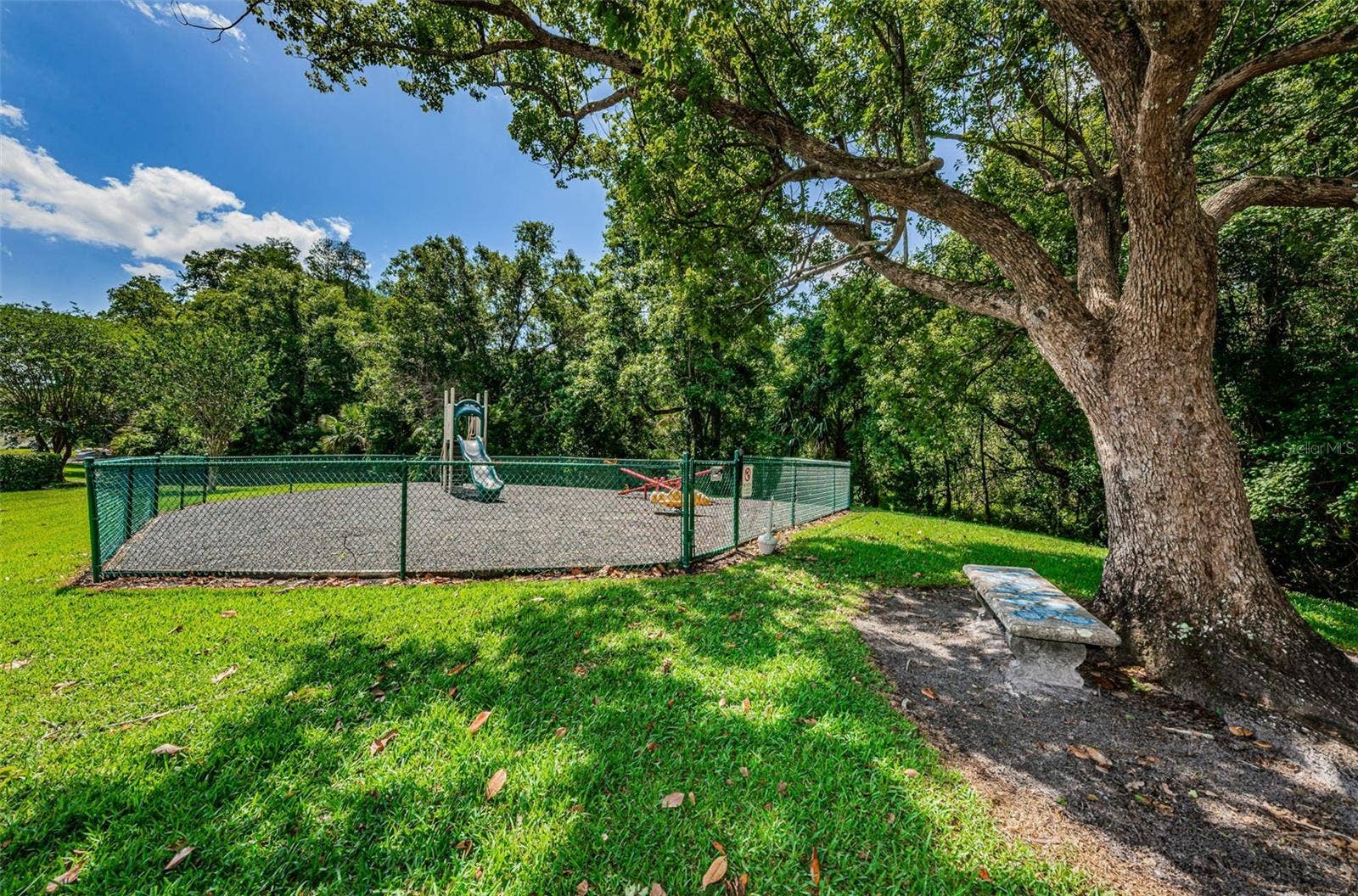 1333 SHADY PINE WAY, #F, Tarpon Springs, FL 34688 Playground