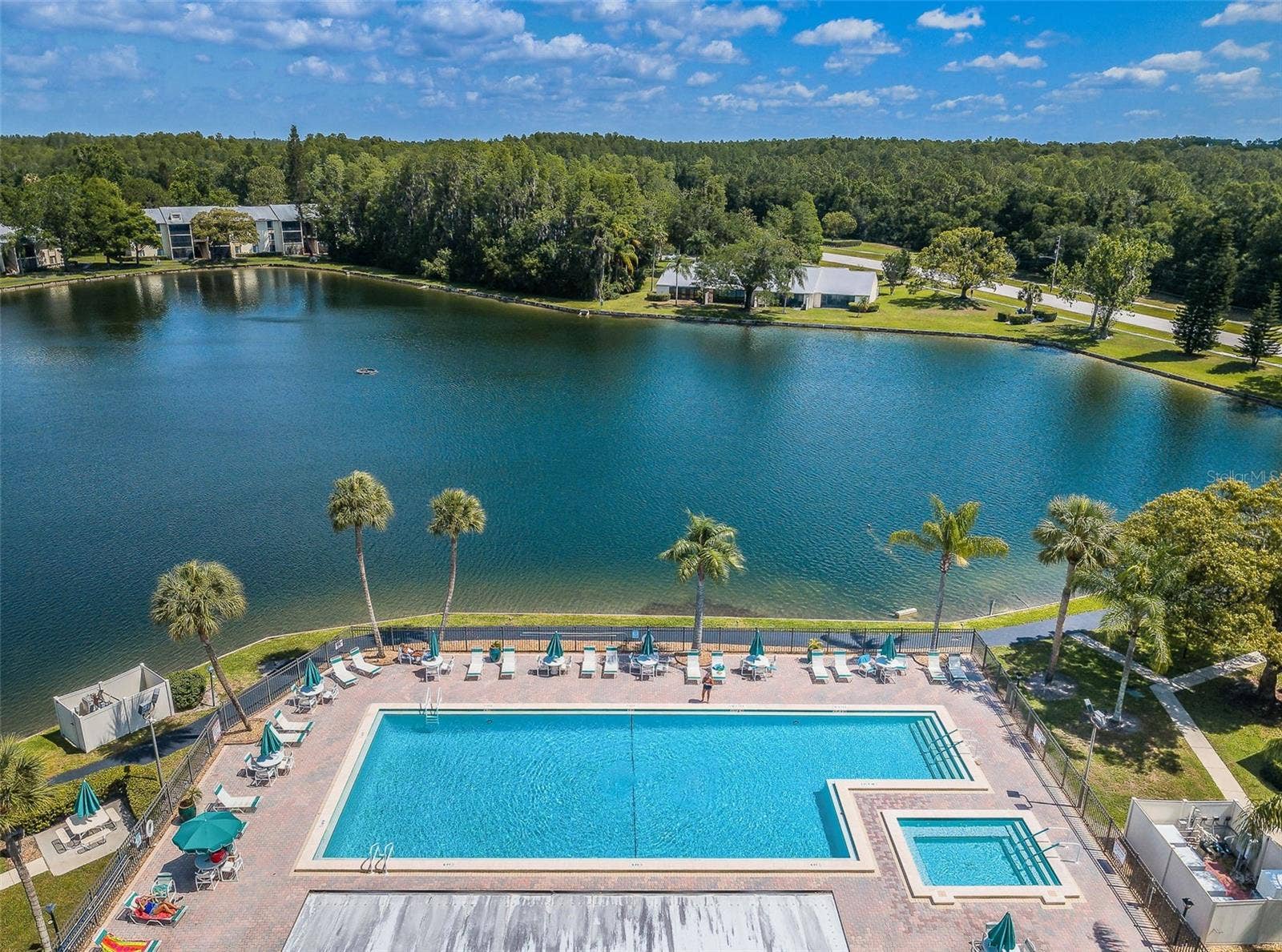 1333 SHADY PINE WAY, #F, Tarpon Springs, FL 34688 Community Pool & Spa