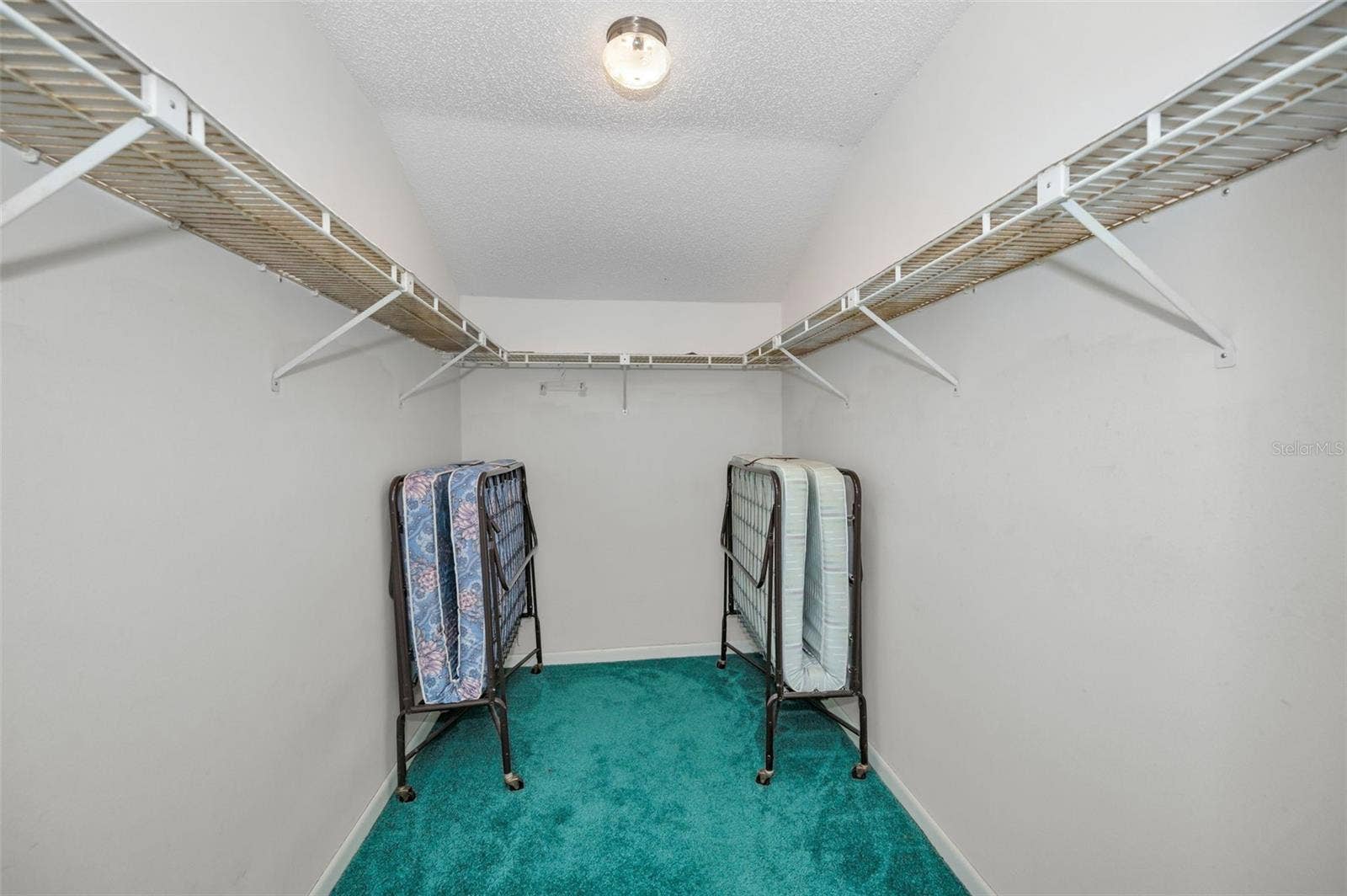 1333 SHADY PINE WAY, #F, Tarpon Springs, FL 34688 Primary Walk-In Closet