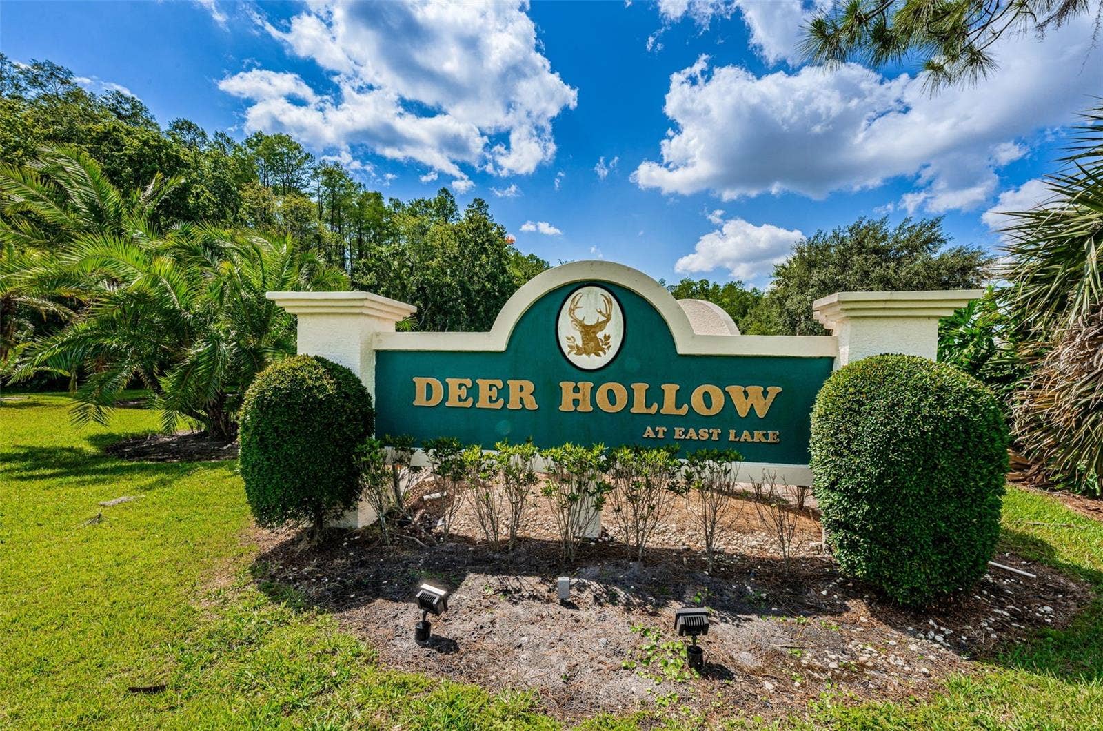 1333 SHADY PINE WAY, #F, Tarpon Springs, FL 34688 Deer Hollow At East Lake