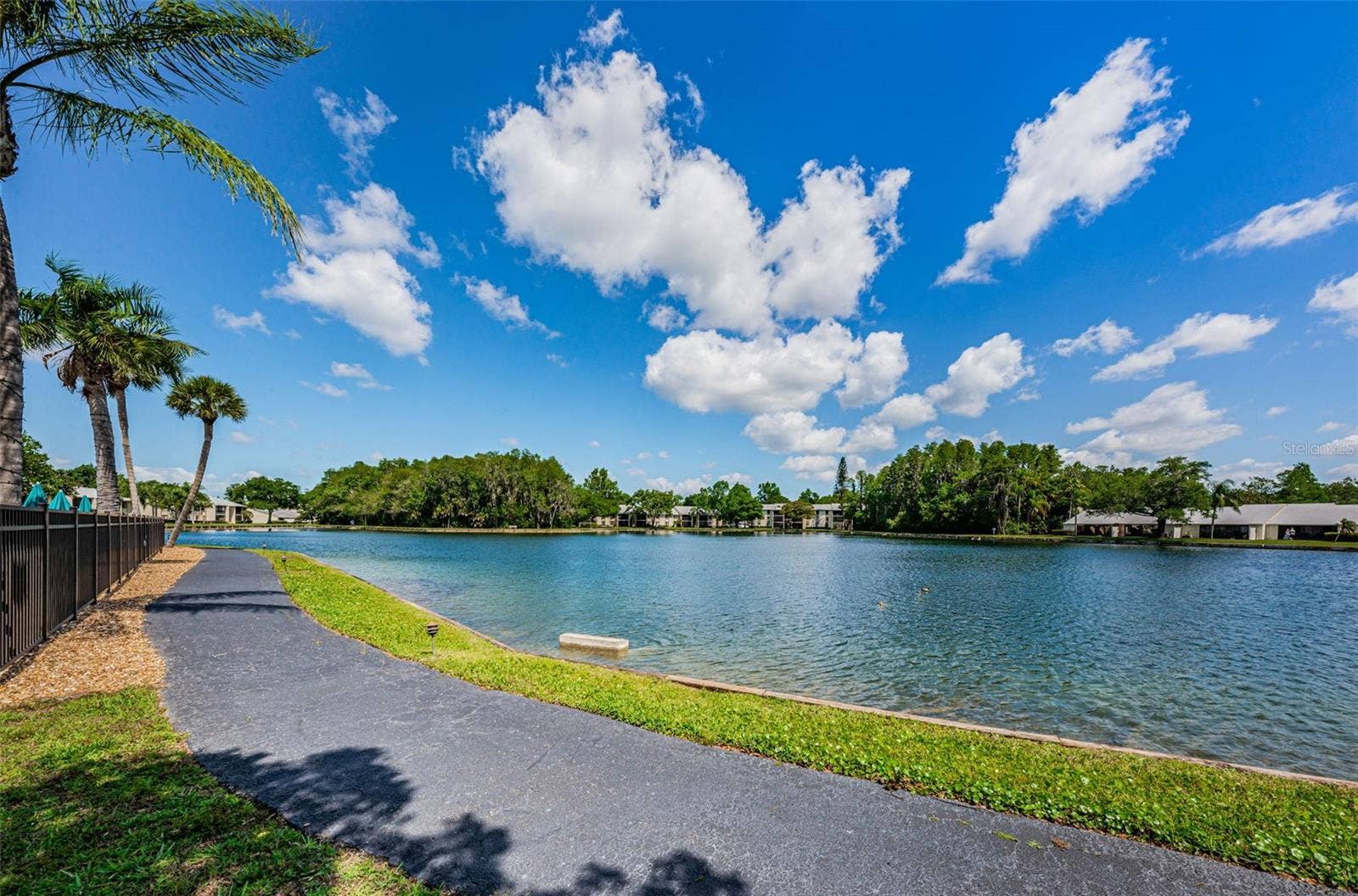 1333 SHADY PINE WAY, #F, Tarpon Springs, FL 34688 Walking Path