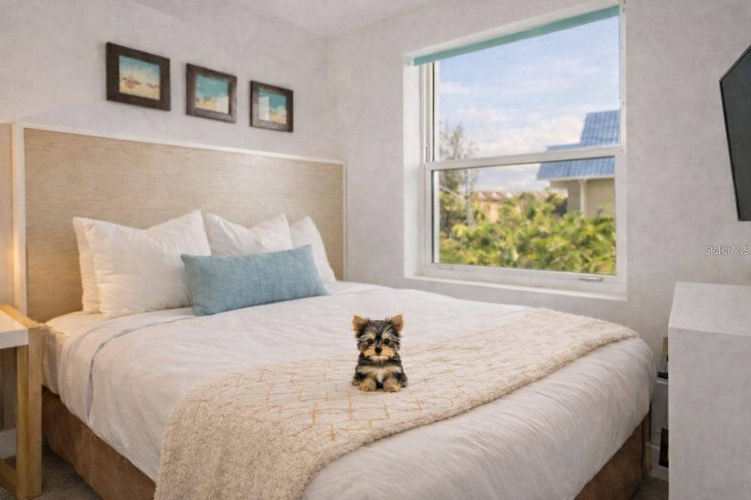 10091 GULF BOULEVARD, #203E, Treasure Island, FL 33706 PET FRIENDLY: MAX 2 PETS
