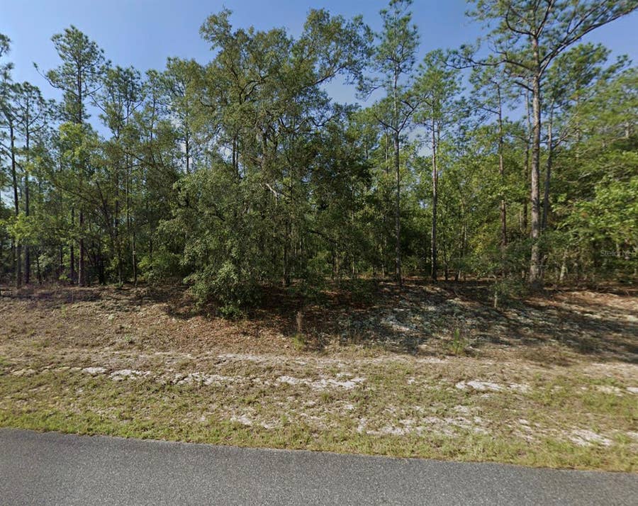 Property photo for 608 E BIMINI DRIVE, Dunnellon, FL