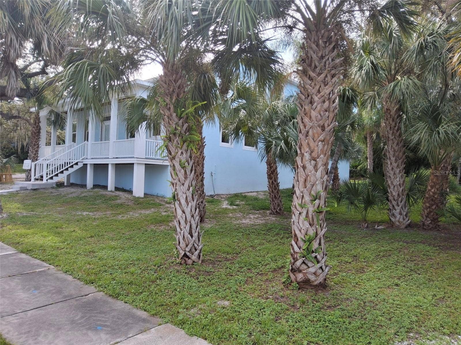 Spacious 90 x 110 lot. Room for a pool here!