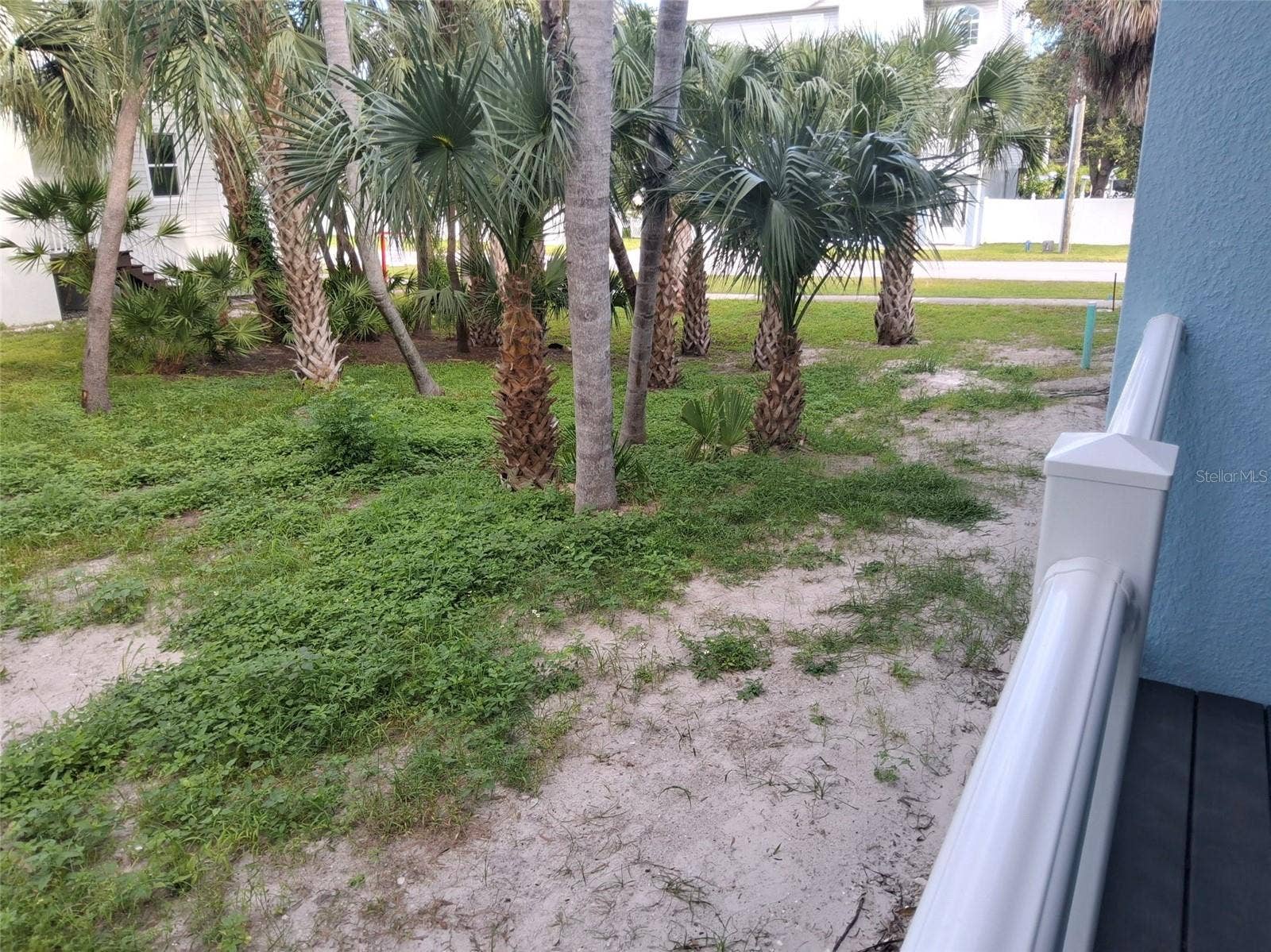 west side yard