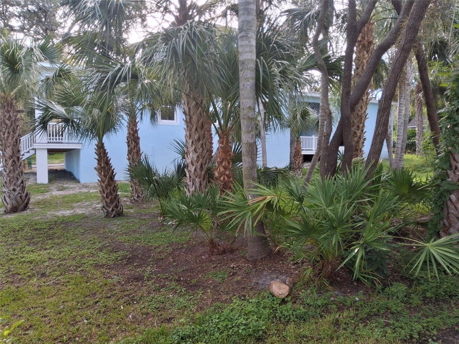 383 GEORGIA AVENUE, Crystal Beach, FL 34681