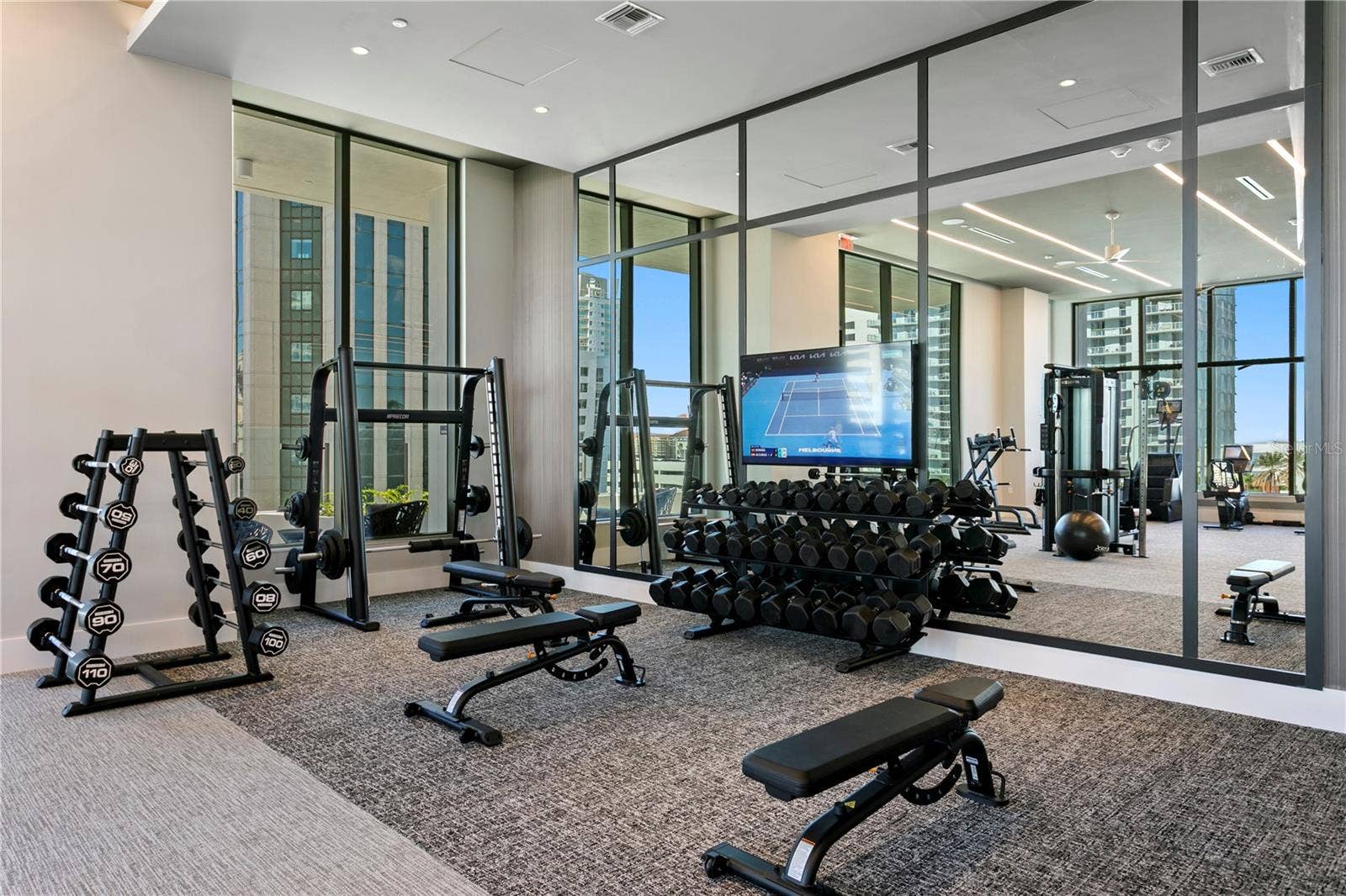 275 1ST AVENUE S, #4004, St Petersburg, FL 33701 Free Weight Area