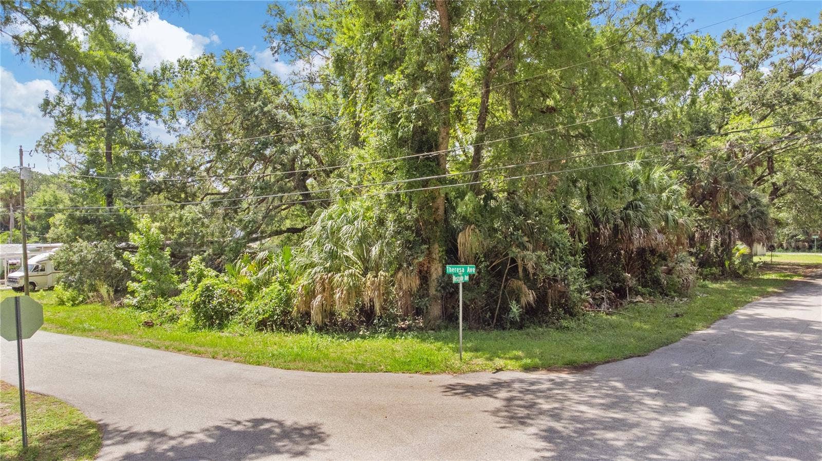 6416 THERESA AVENUE, Weeki Wachee, FL 34607 6416 THERESA AVENUE, Weeki Wachee, FL 34607