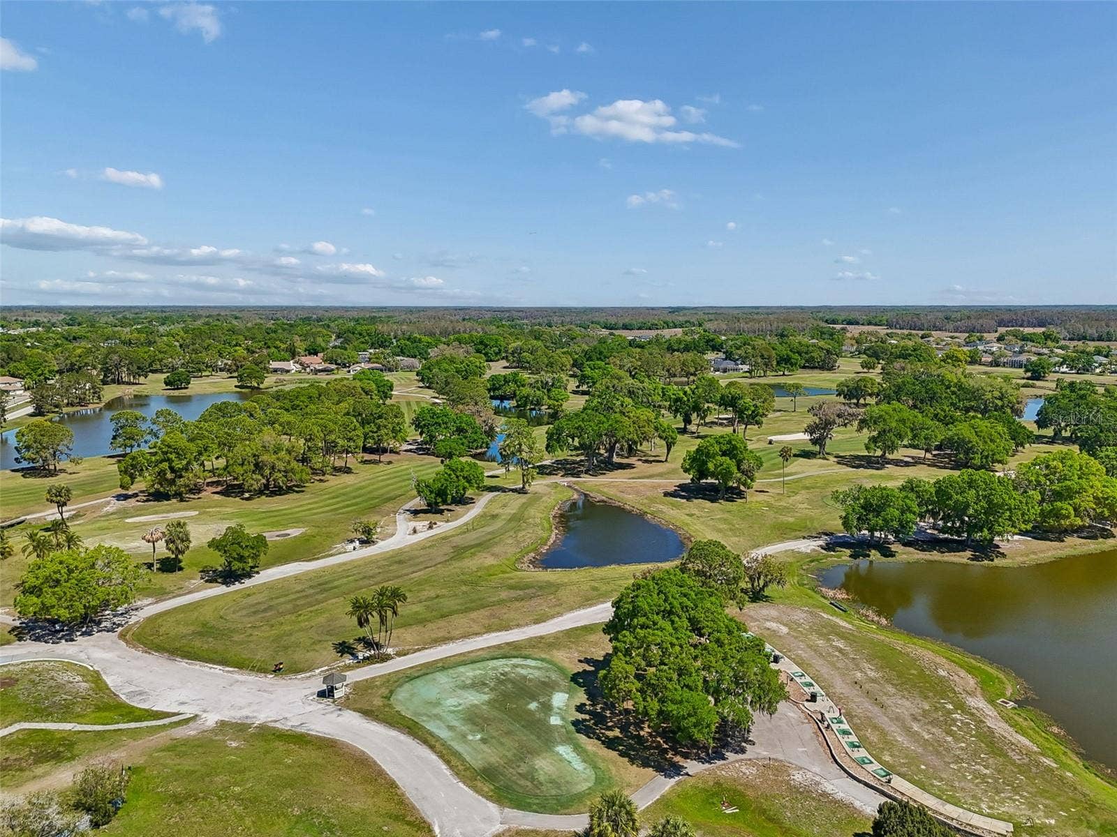 12507 ASHDOWN DRIVE, Odessa, FL 33556 12507 ASHDOWN DRIVE, Odessa, FL 33556