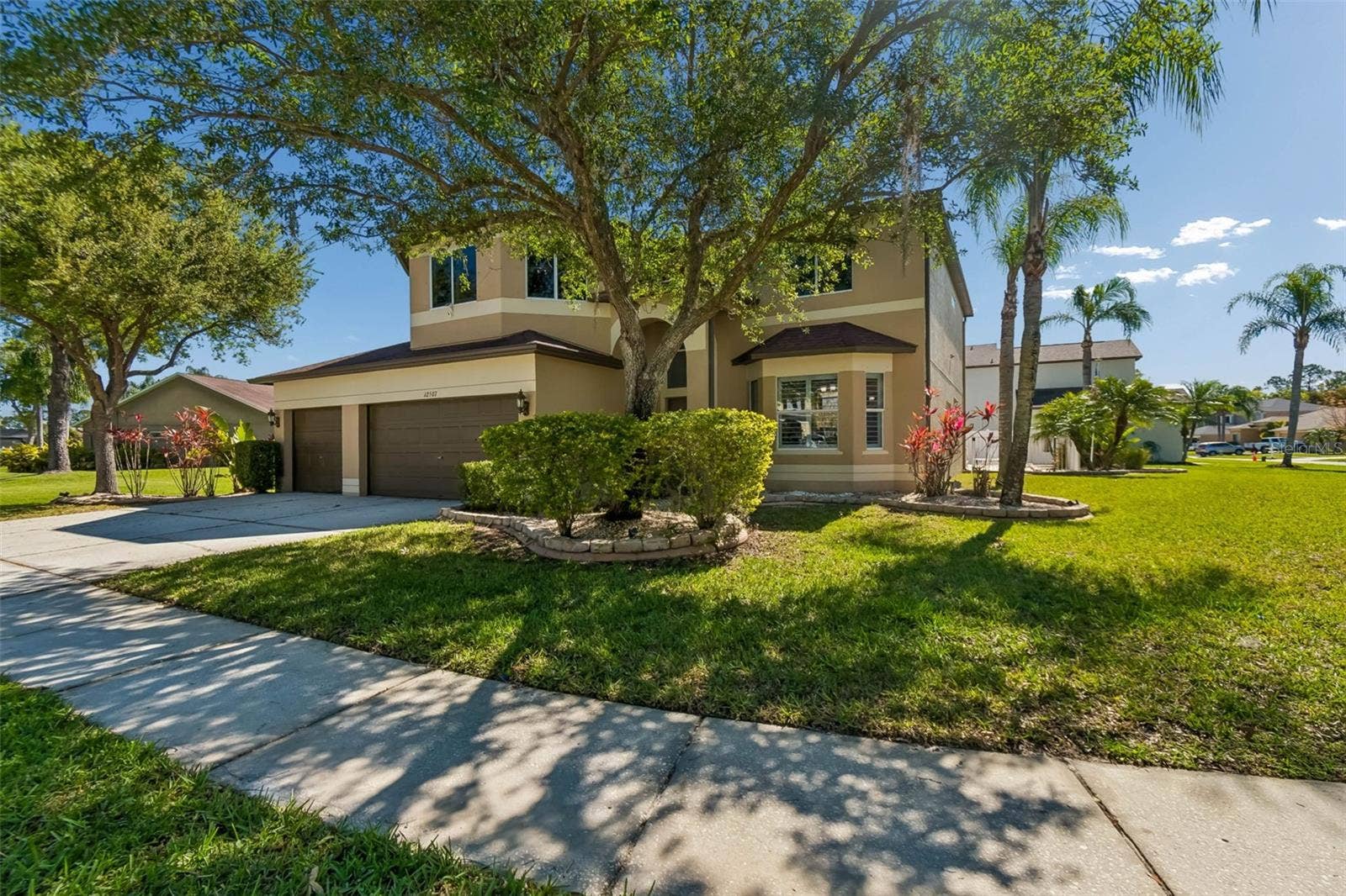 12507 ASHDOWN DRIVE, Odessa, FL 33556 12507 ASHDOWN DRIVE, Odessa, FL 33556