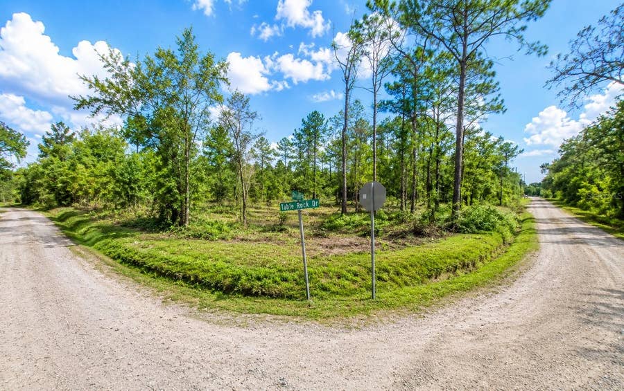 Property photo for MILLROCK STREET, Webster, FL