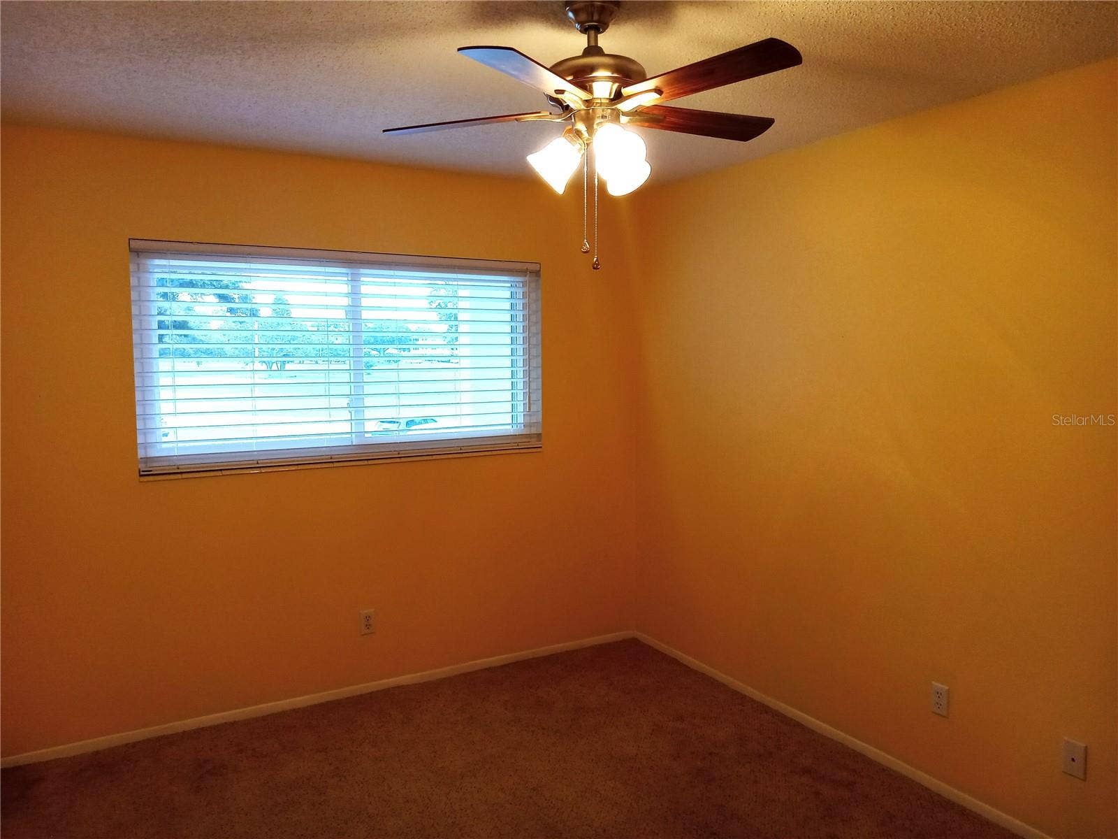 2430 FLORENTINE WAY, #30, Clearwater, FL 33763 2430 FLORENTINE WAY, #30, Clearwater, FL 33763