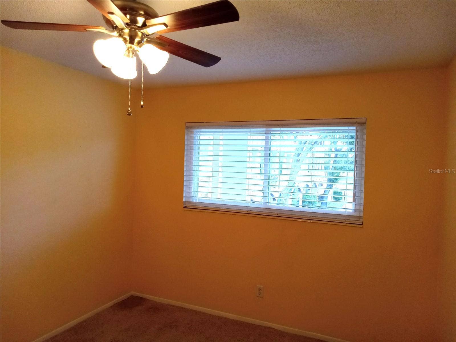 2430 FLORENTINE WAY, #30, Clearwater, FL 33763 2430 FLORENTINE WAY, #30, Clearwater, FL 33763