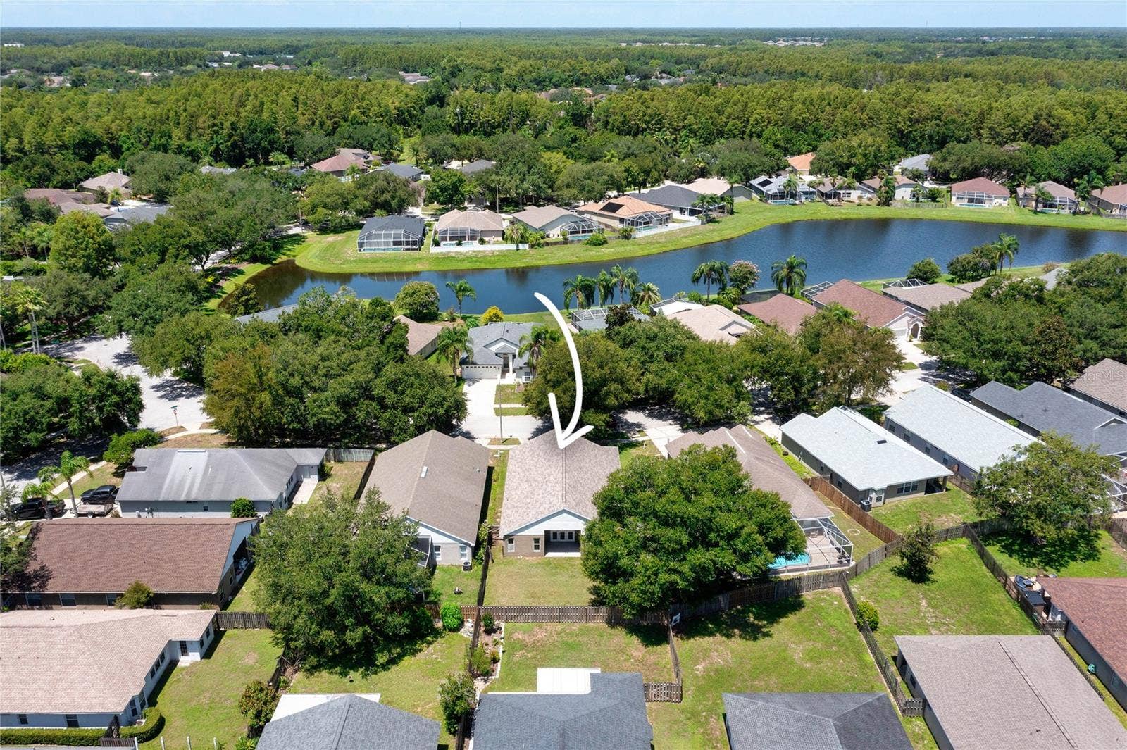 19520 MORDEN BLUSH DRIVE, Lutz, FL 33558 19520 MORDEN BLUSH DRIVE, Lutz, FL 33558