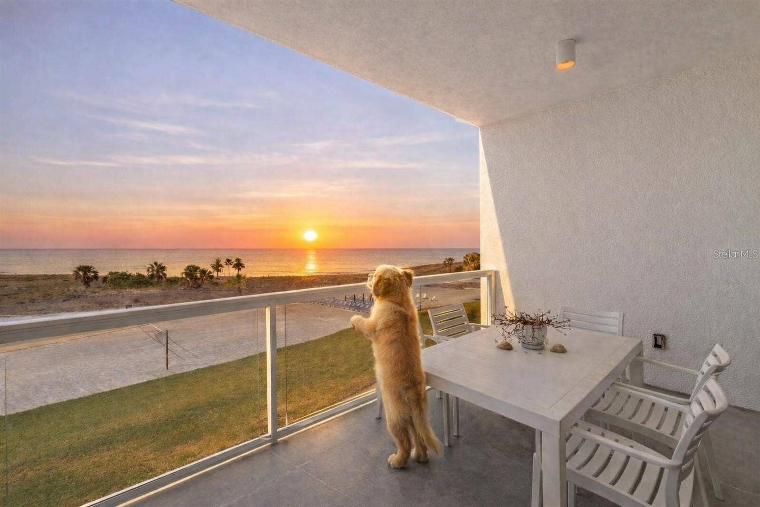 11500 GULF BOULEVARD, #304, Treasure Island, FL 33706 Pets allowed