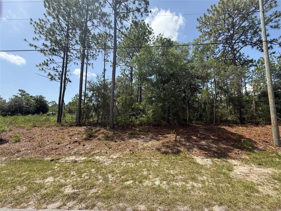 Property photo for 7069 N SANTOS DRIVE, Citrus Springs, FL