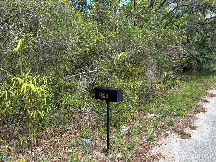 Property photo for 18379 THOMAS BOULEVARD, Hudson, FL