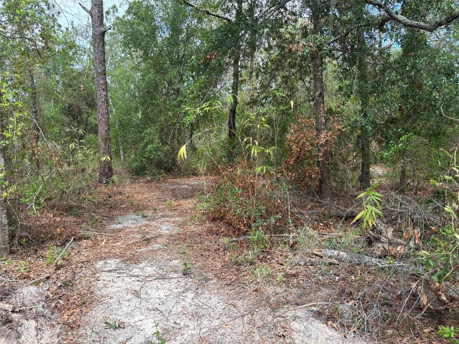 Property photo for 18379 THOMAS BOULEVARD, Hudson, FL