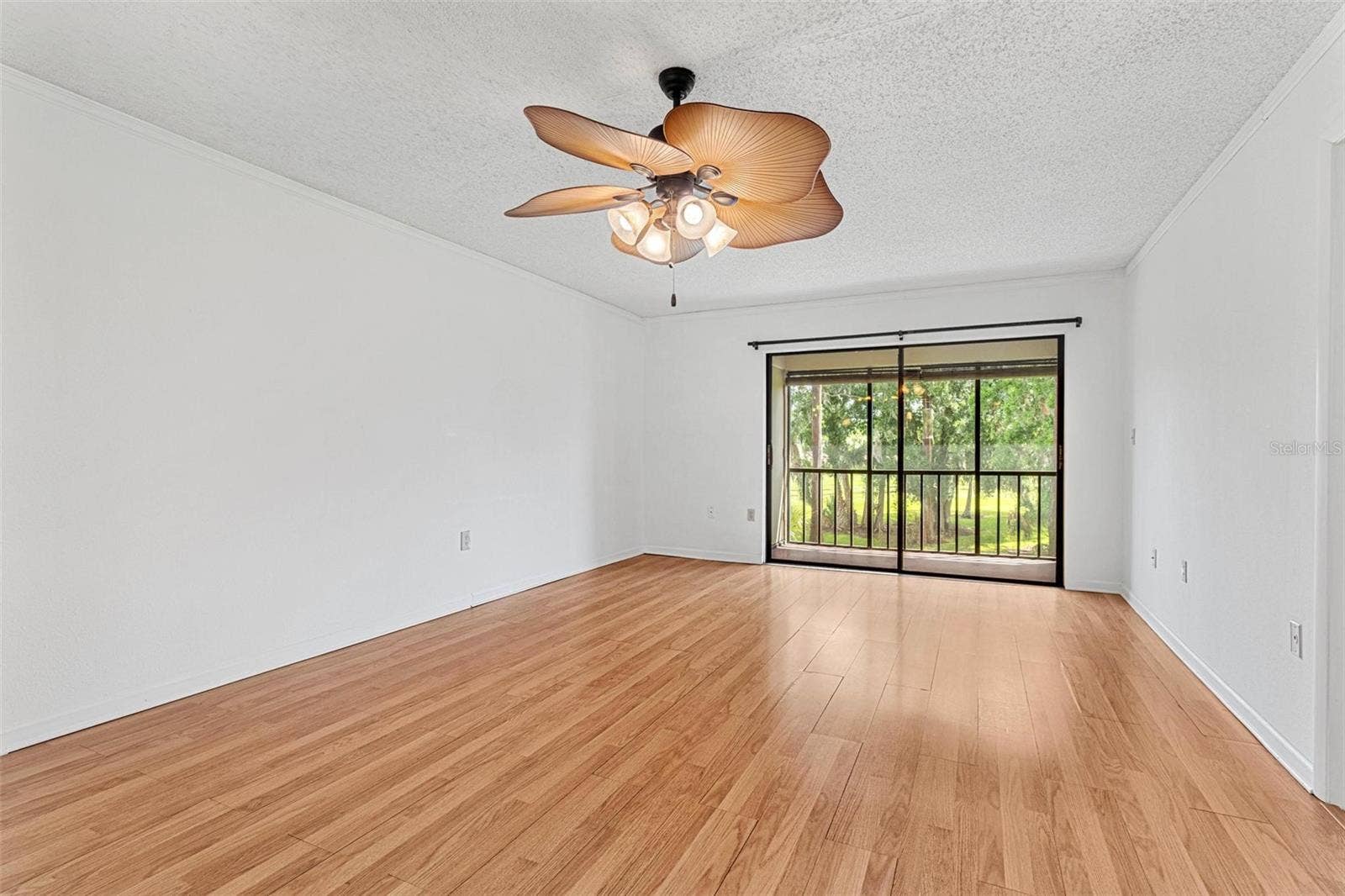 dining / living area