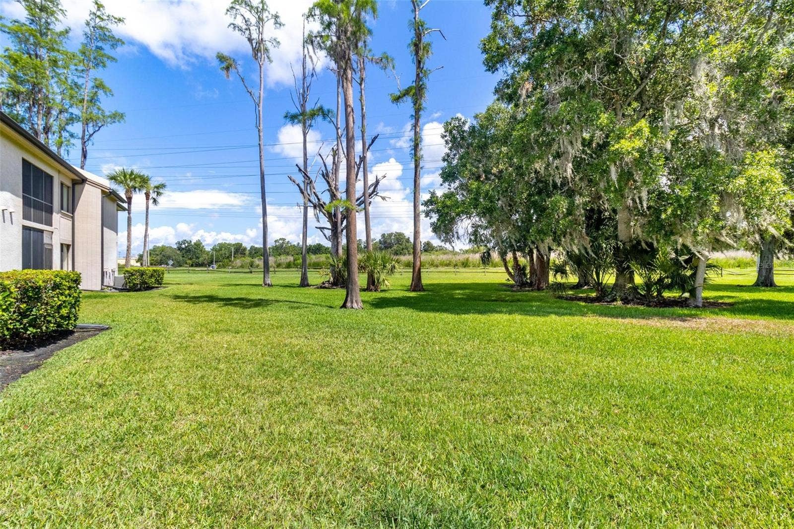 back yard area