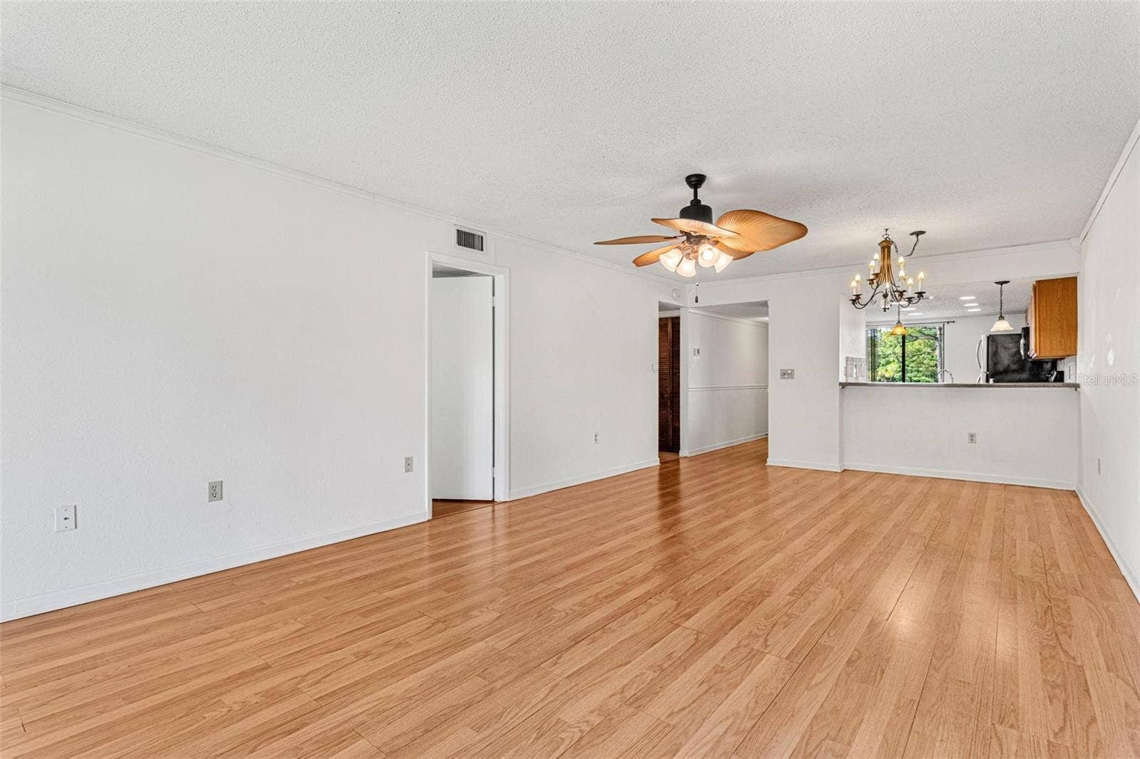 dining / living area