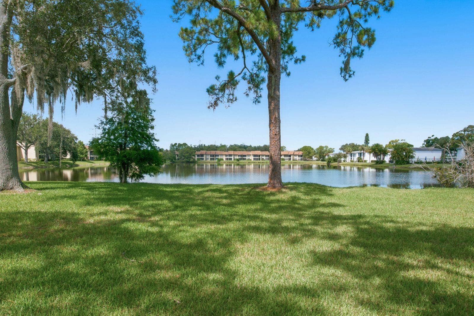 10 WOODLAKE PLACE, Oldsmar, FL 34677 Back view of Building