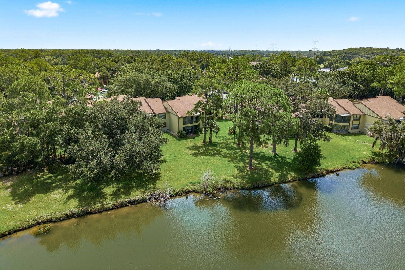 10 WOODLAKE PLACE, Oldsmar, FL 34677 Aerial
