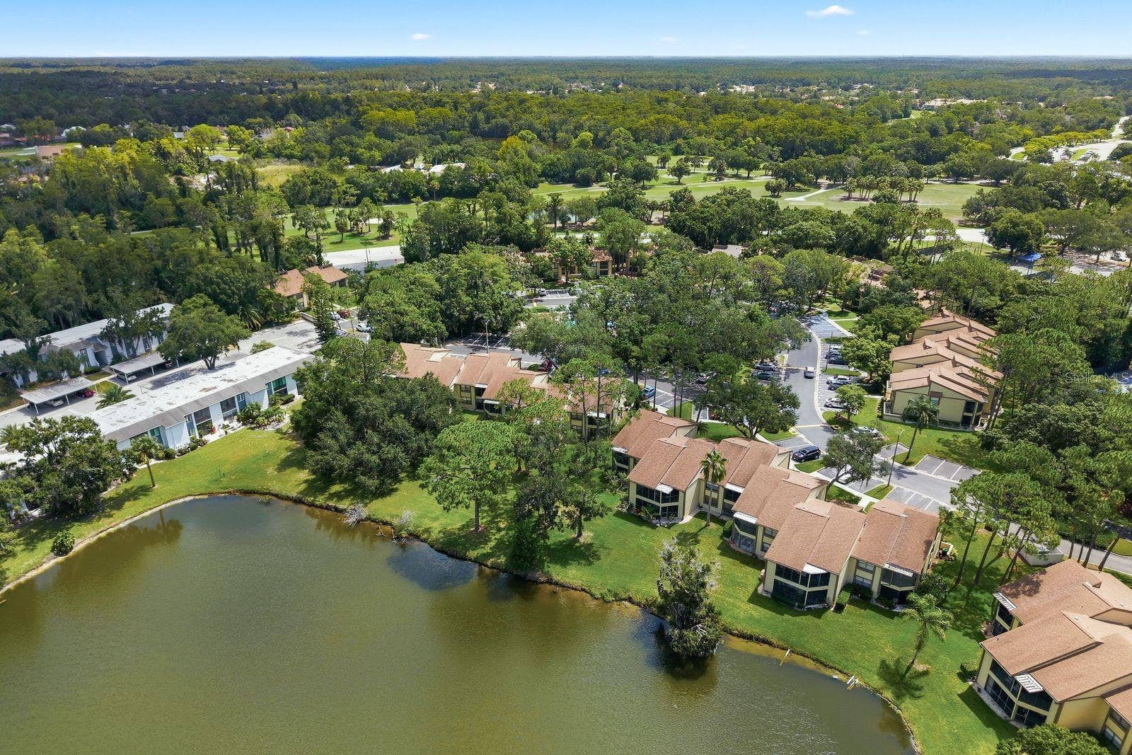 10 WOODLAKE PLACE, Oldsmar, FL 34677 Aerial