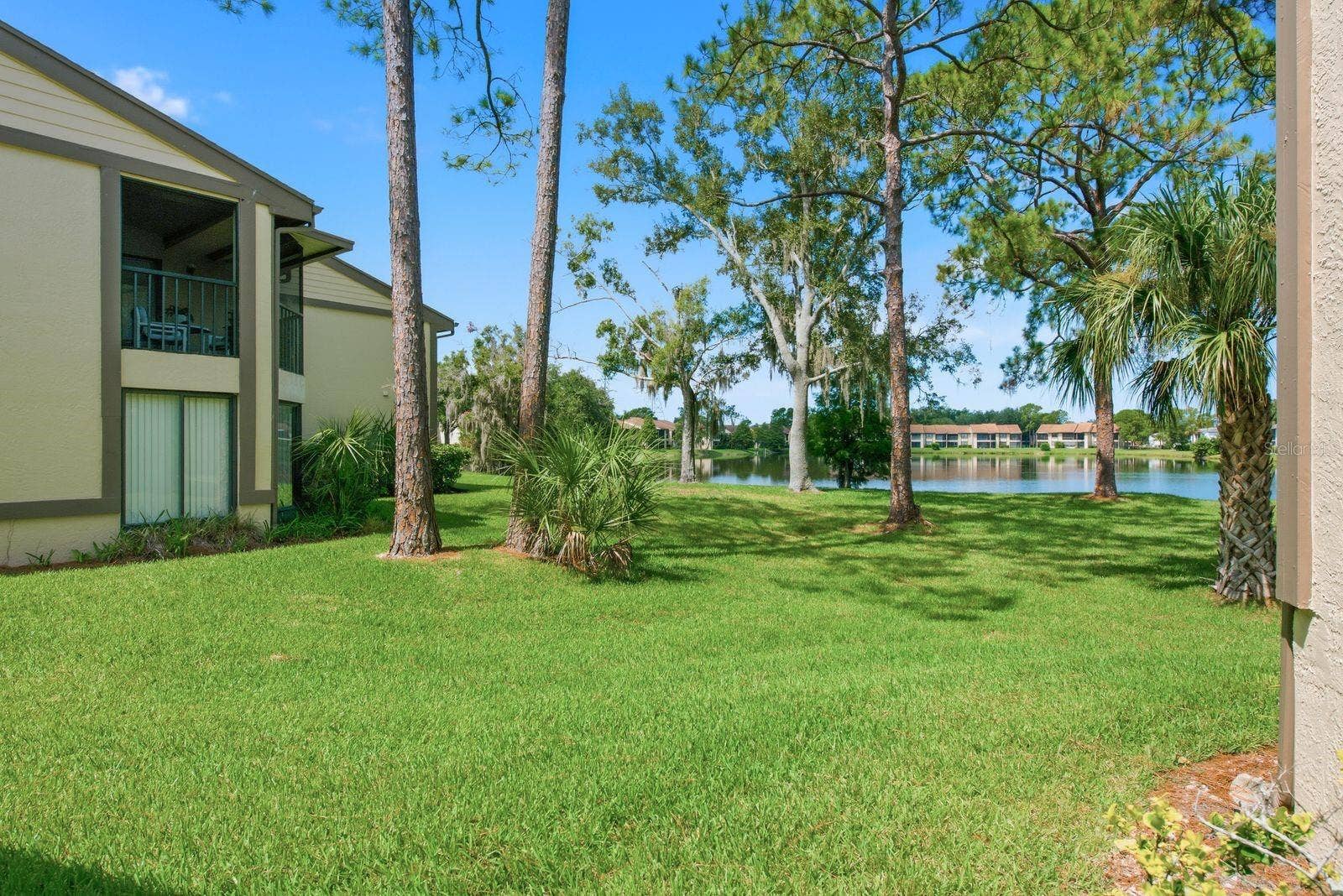 10 WOODLAKE PLACE, Oldsmar, FL 34677 Back view