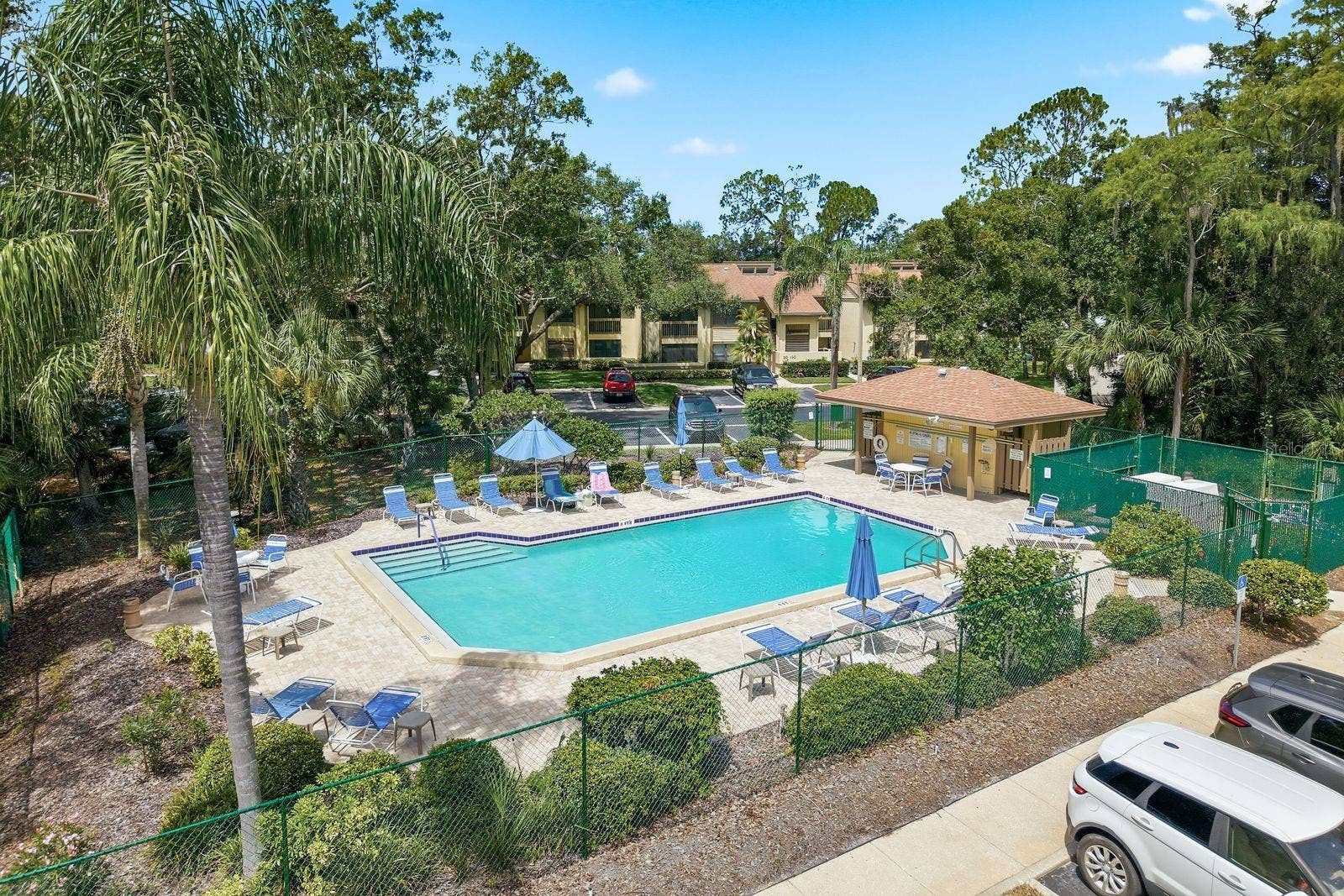10 WOODLAKE PLACE, Oldsmar, FL 34677 Community Pool