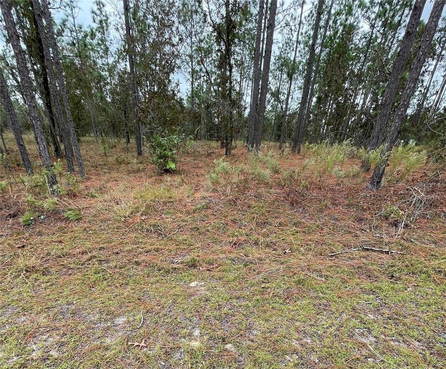 Property photo for SE 133RD AVENUE, Dunnellon, FL