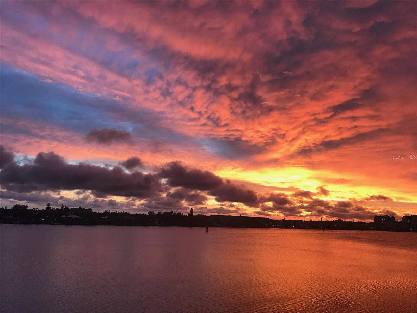 Florida's finest sunsets
