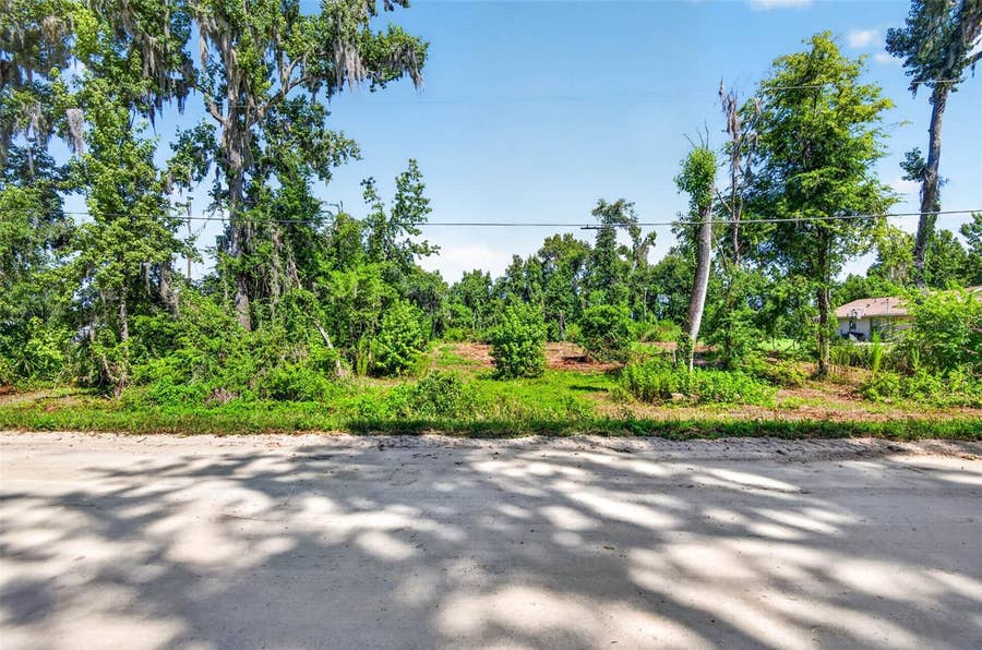 Property photo for 0 SUMNER LAKE ROAD, Dade City, FL