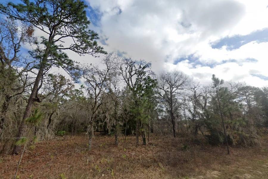 Property photo for CRIDER ROAD, Weeki Wachee, FL