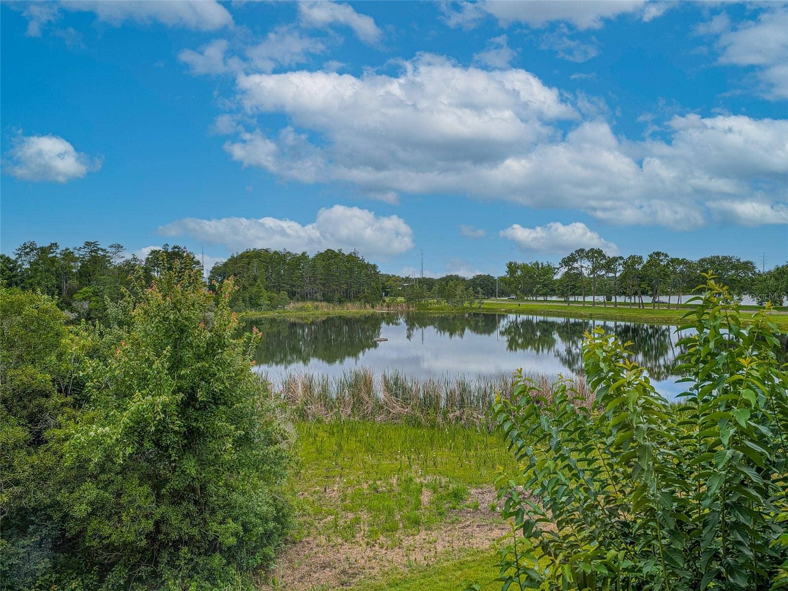 10409 CRIMSON PARK LANE, #110, Tampa, FL 33626 10409 CRIMSON PARK LANE, #110, Tampa, FL 33626