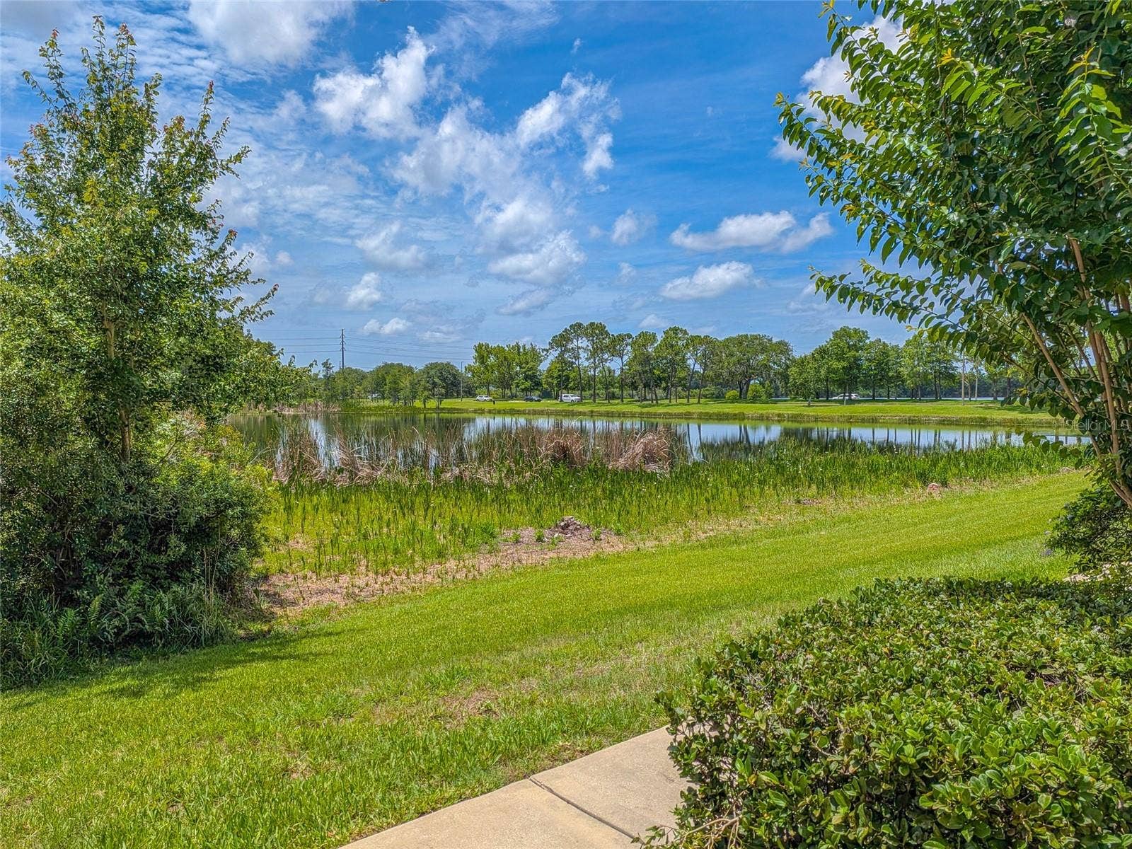 10409 CRIMSON PARK LANE, #110, Tampa, FL 33626 10409 CRIMSON PARK LANE, #110, Tampa, FL 33626