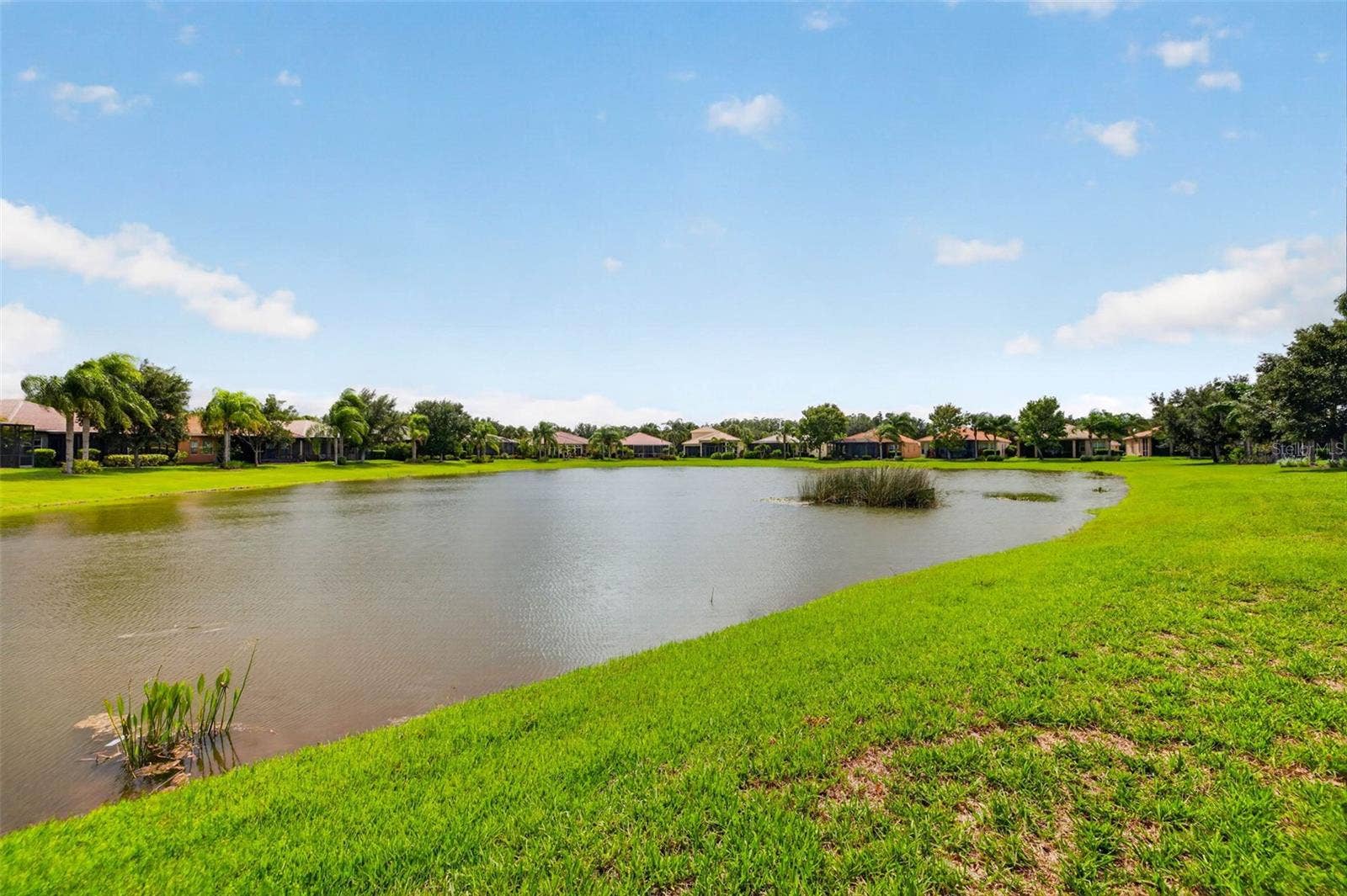 15929 GOLDEN LAKES DRIVE, Wimauma, FL 33598 15929 GOLDEN LAKES DRIVE, Wimauma, FL 33598