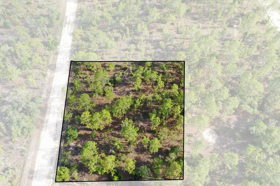 Property photo for 0000 NE 132 TERRACE LOT 2 TERRACE, Williston, FL