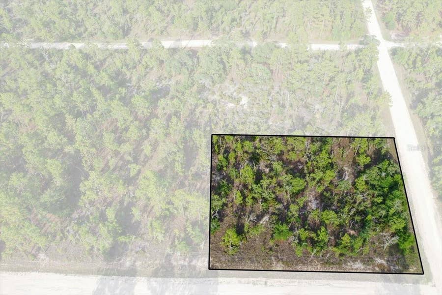Property photo for 0000 NE 131 TERRACE LOT 6 TERRACE, Williston, FL