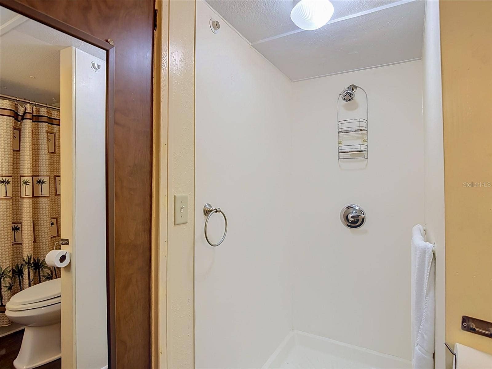 39032 OLA AVENUE, Zephyrhills, FL 33542 walk in shower