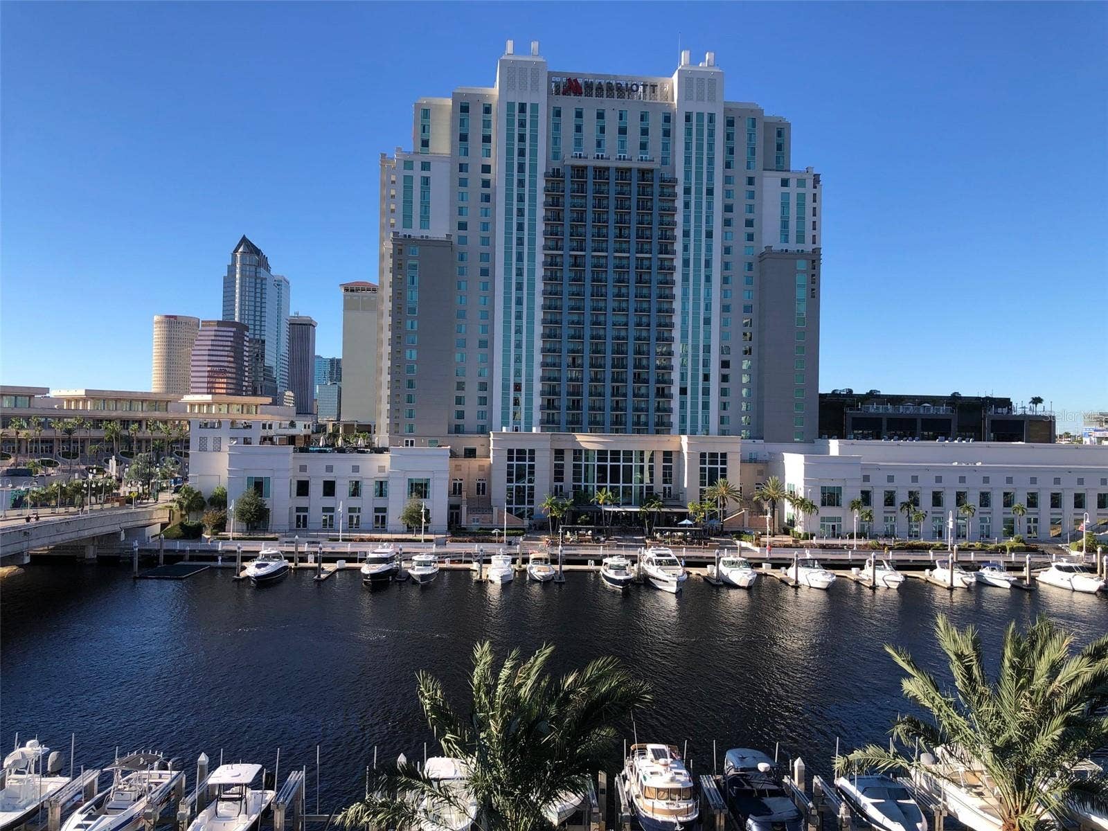 700 S HARBOUR ISLAND BOULEVARD, #523, Tampa, FL 33602 700 S HARBOUR ISLAND BOULEVARD, #523, Tampa, FL 33602