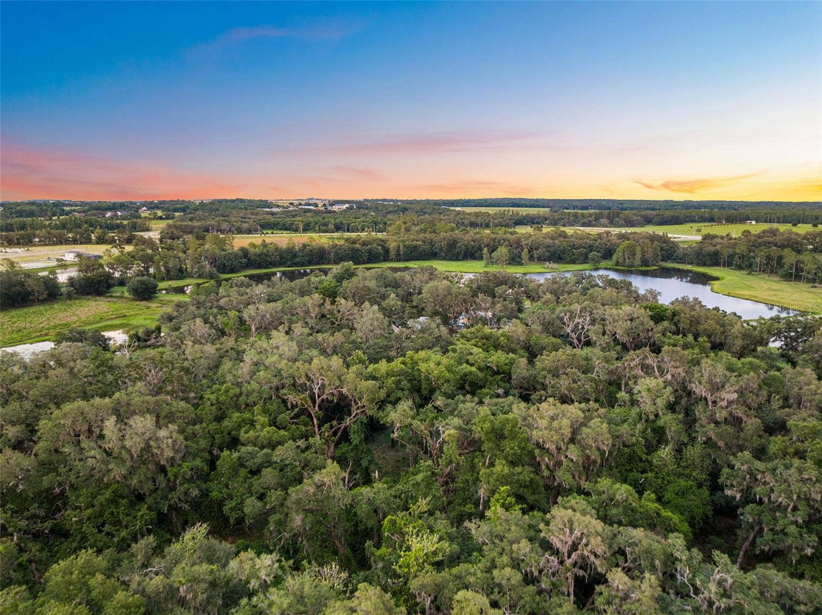 33415 KIEFER ROAD, Wesley Chapel, FL 33545
