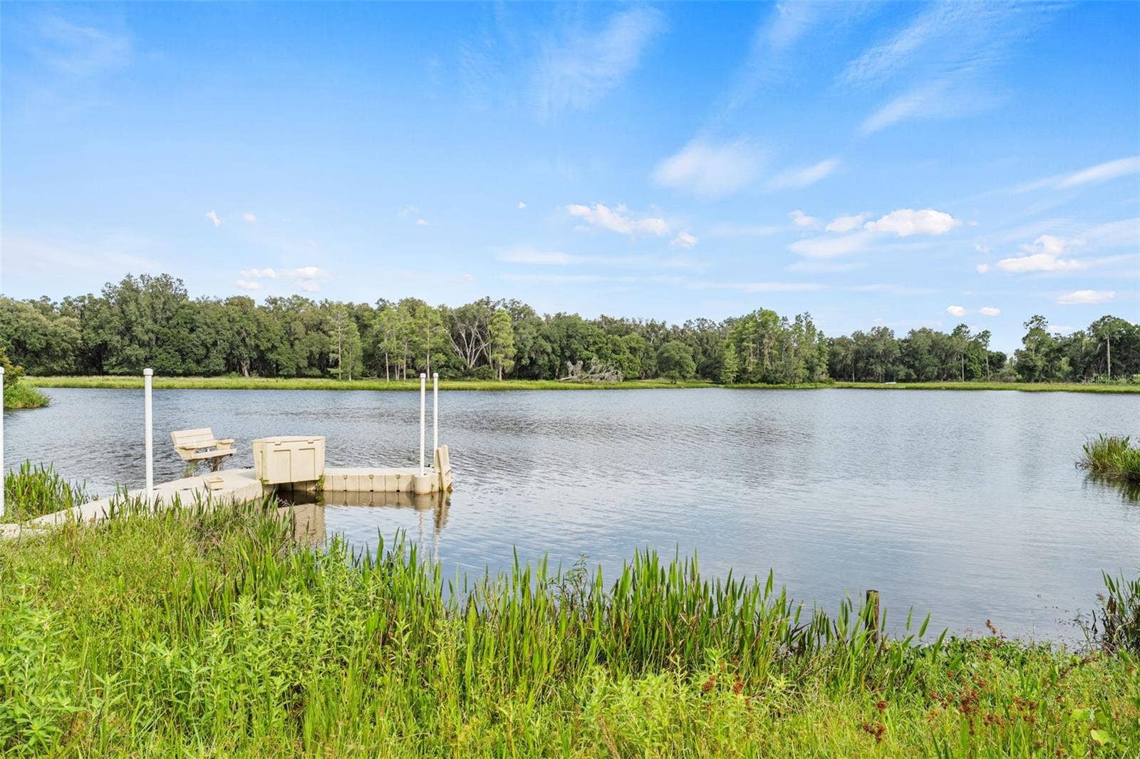 33415 KIEFER ROAD, Wesley Chapel, FL 33545