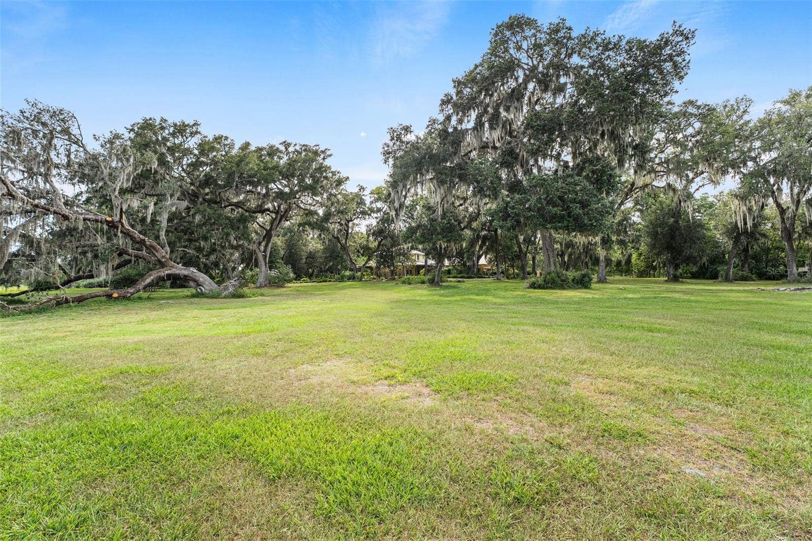 33415 KIEFER ROAD, Wesley Chapel, FL 33545