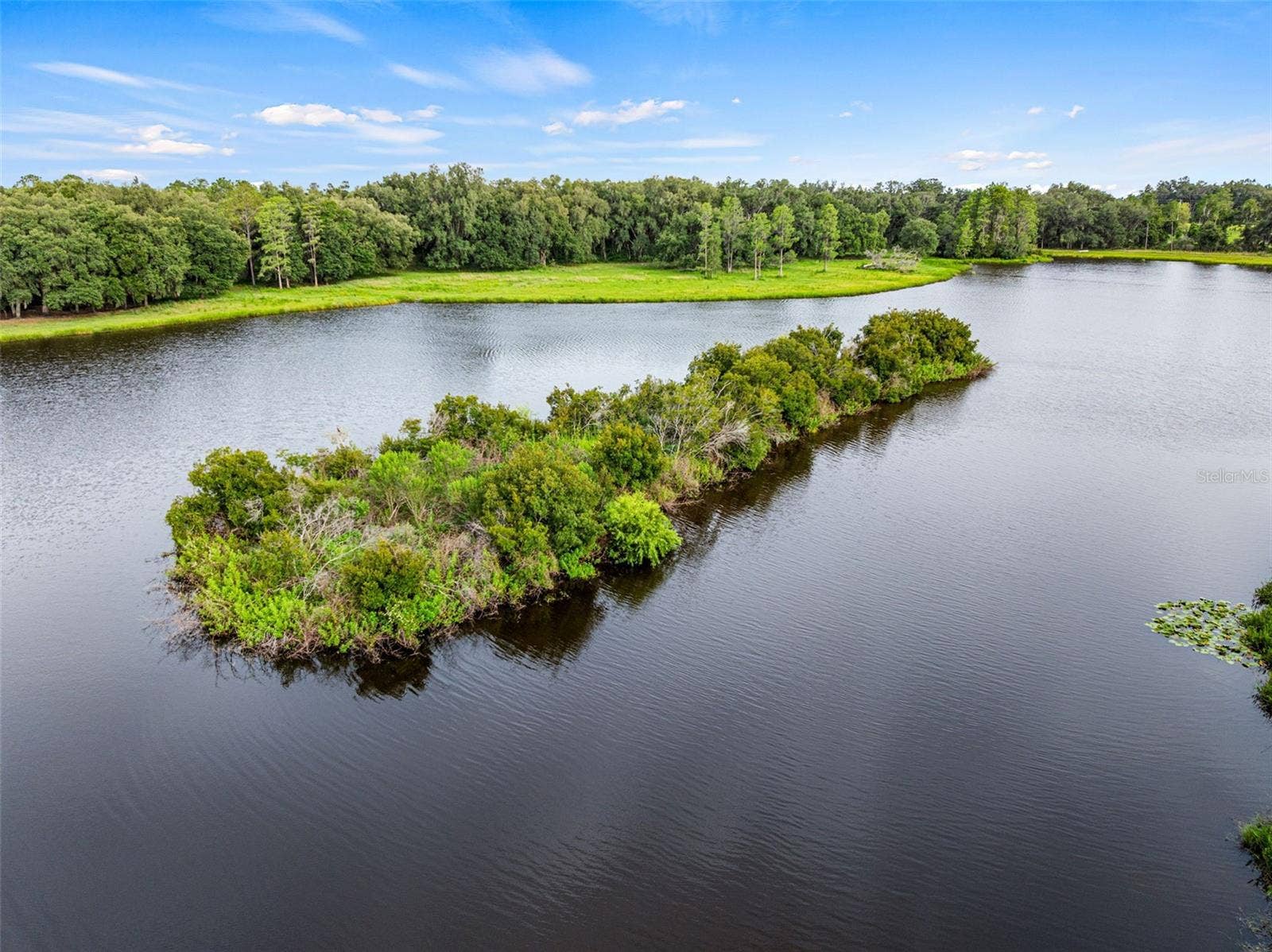33415 KIEFER ROAD, Wesley Chapel, FL 33545