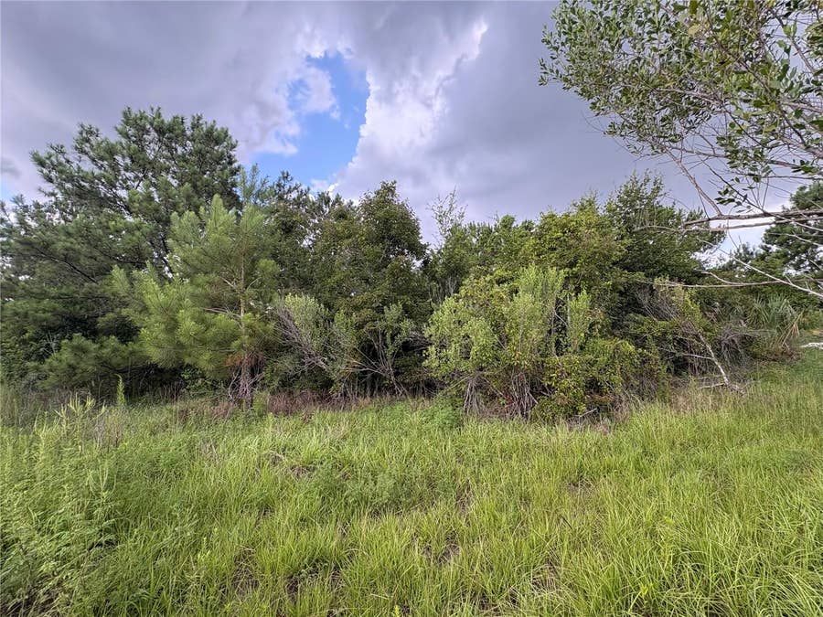 Property photo for EVENING STAR, #00, Brooksville, FL