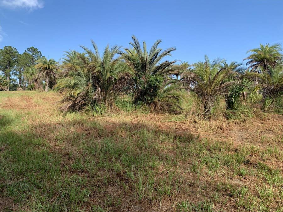 Property photo for DAN BROWN HILL ROAD, #Lot 3, Brooksville, FL